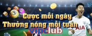 vipclub
